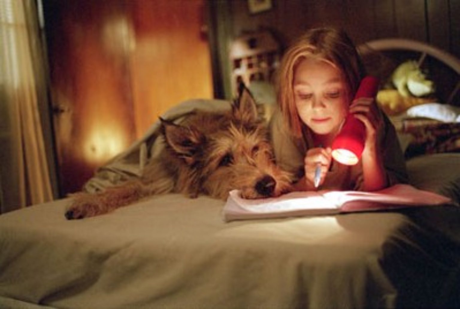 because-of-winn-dixie-plugged-in