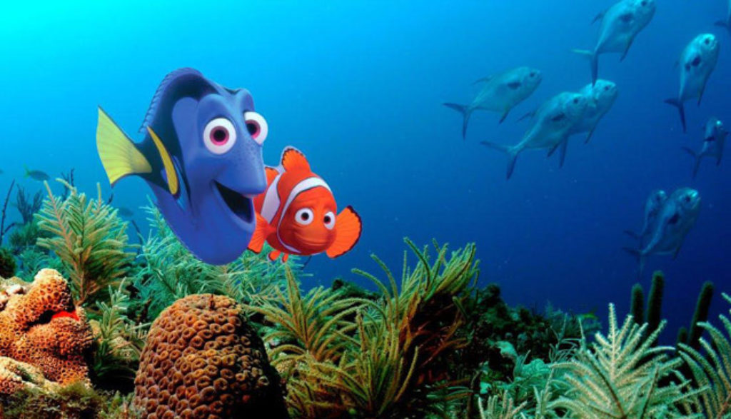 coral finding nemo