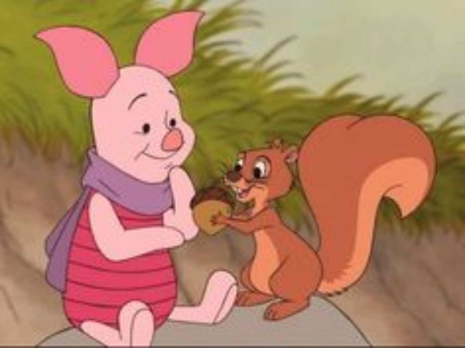 big piglet teddy