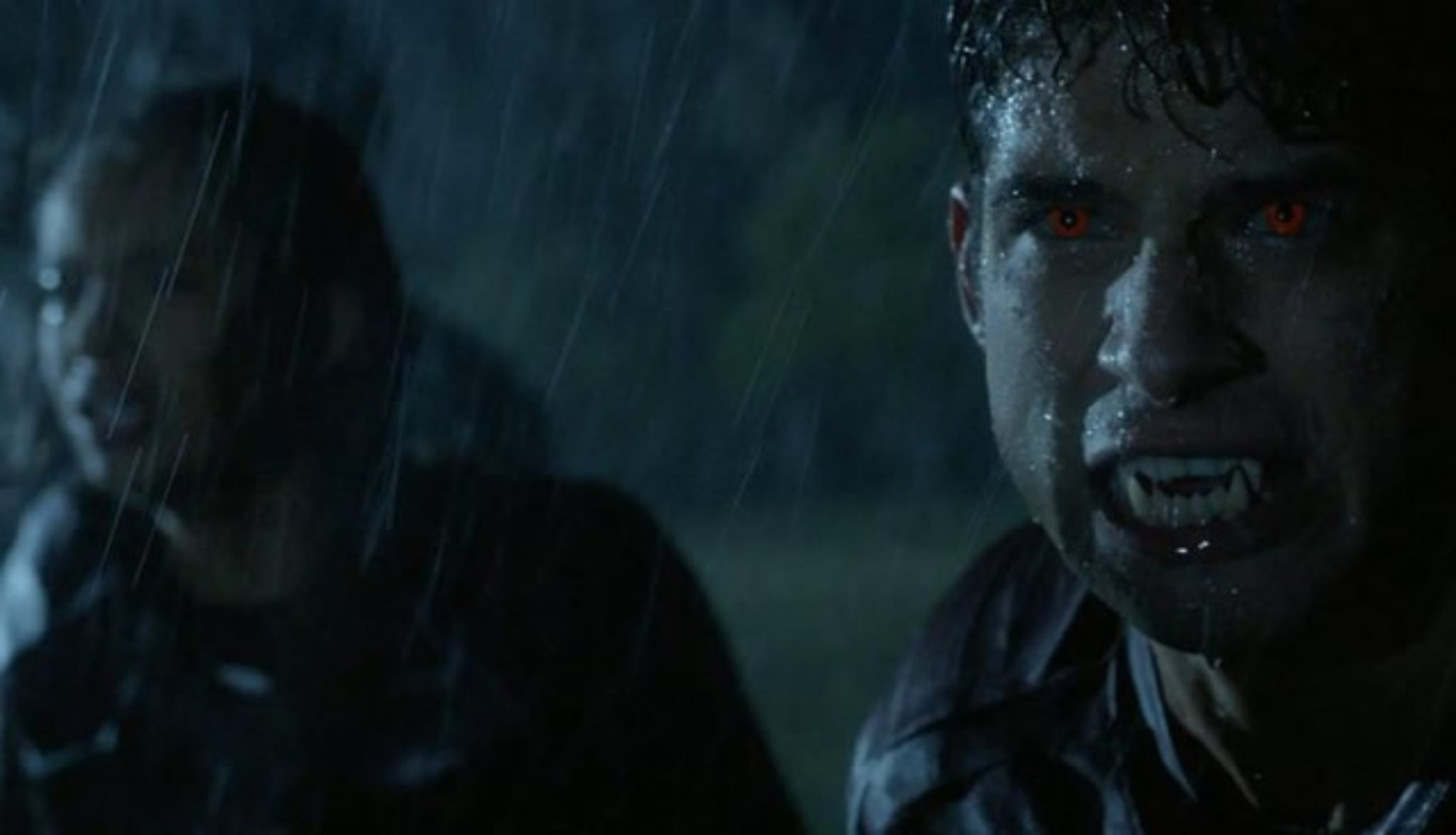 волчонок 7 дата