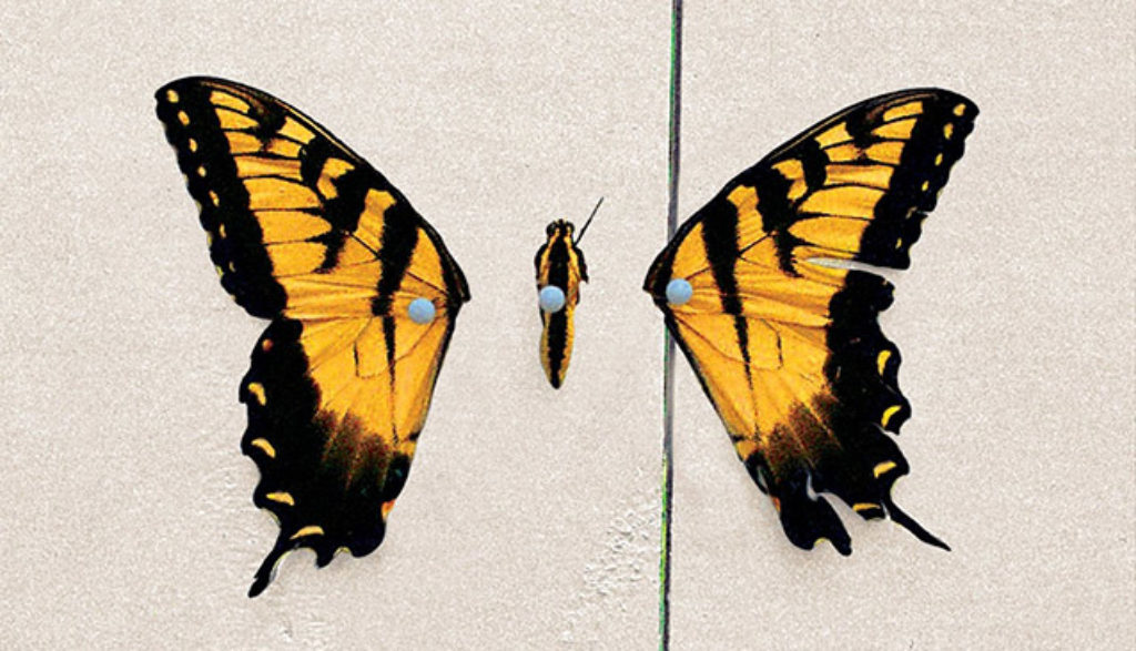 brand new eyes - Plugged In