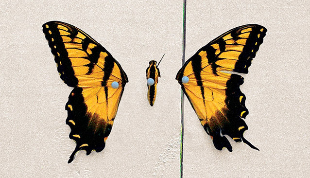 brand new eyes - Plugged In