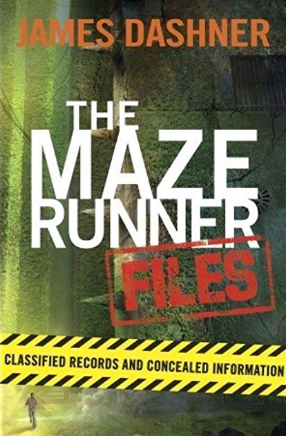 maze runner summary