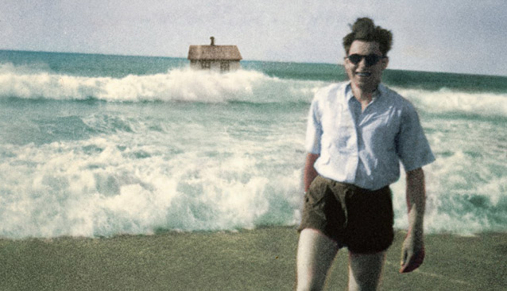 Of monsters and men my head is an animal. Jungle emma louise обложка. джангл эмма. Of monsters and men – my head is an animal colored vinyl. Jungle emma louise.