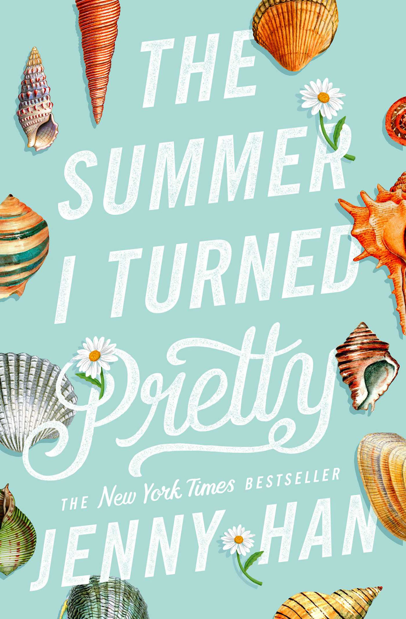book review summer i turned pretty