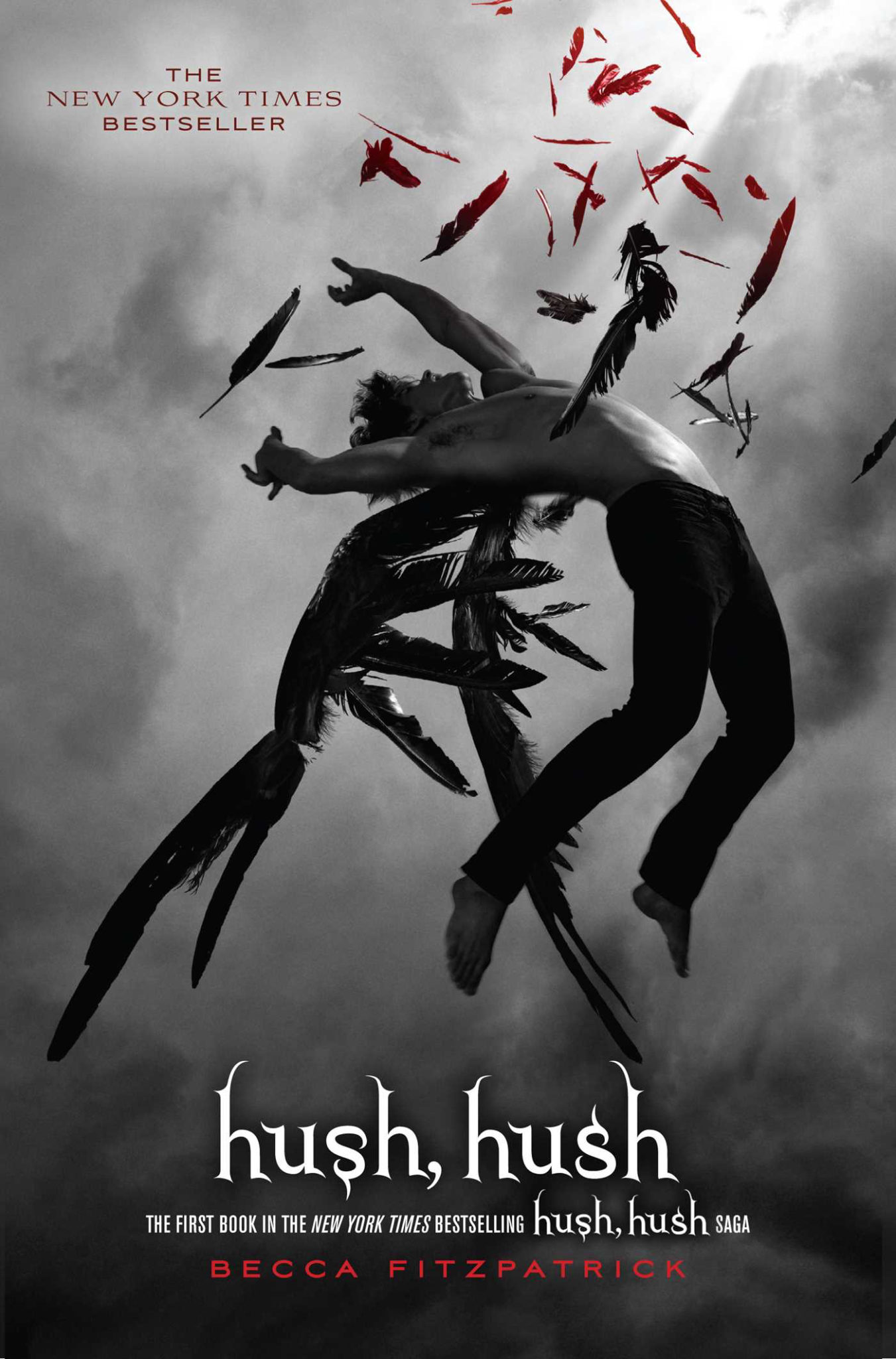 Hush, Hush — “Hush, Hush” Series Plugged In