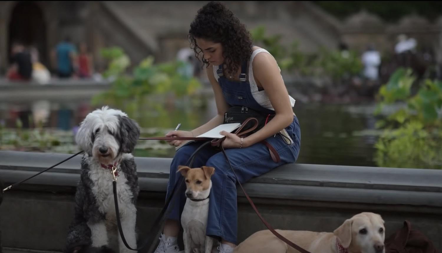 Little Voice Plugged In