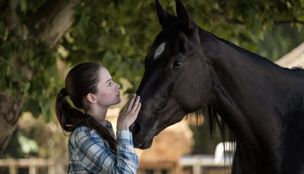 A teen girl rubs a horse's nose.