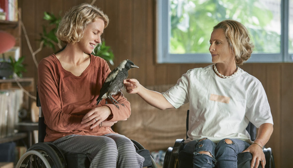 One woman in a wheelchair with a magpie chick on her hand talks to another woman in a wheelchair.