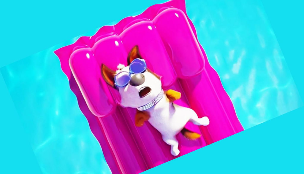 An animated dog floats on a purple air mattress in a pool.