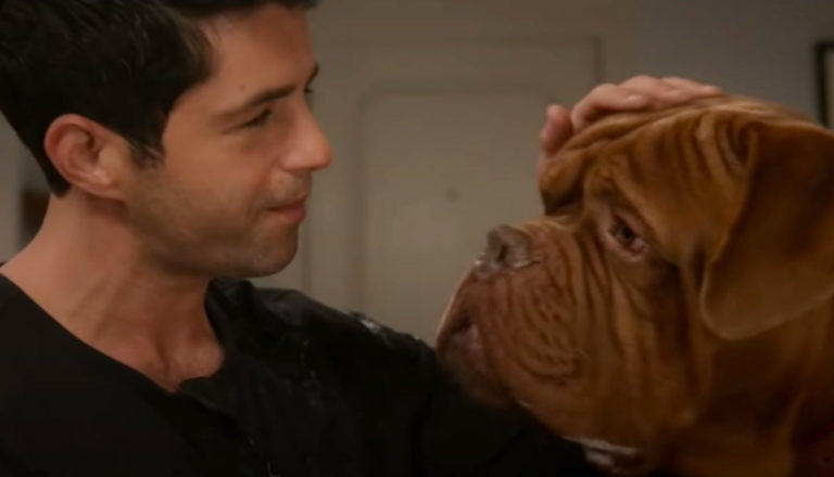 A man and his dog