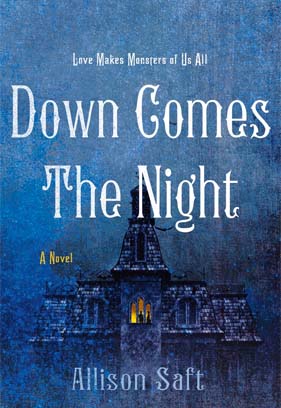 Down Comes the Night book cover