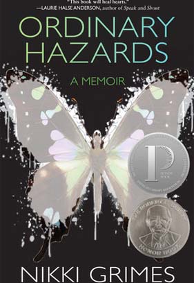 Ordinary Hazards - A Memoir