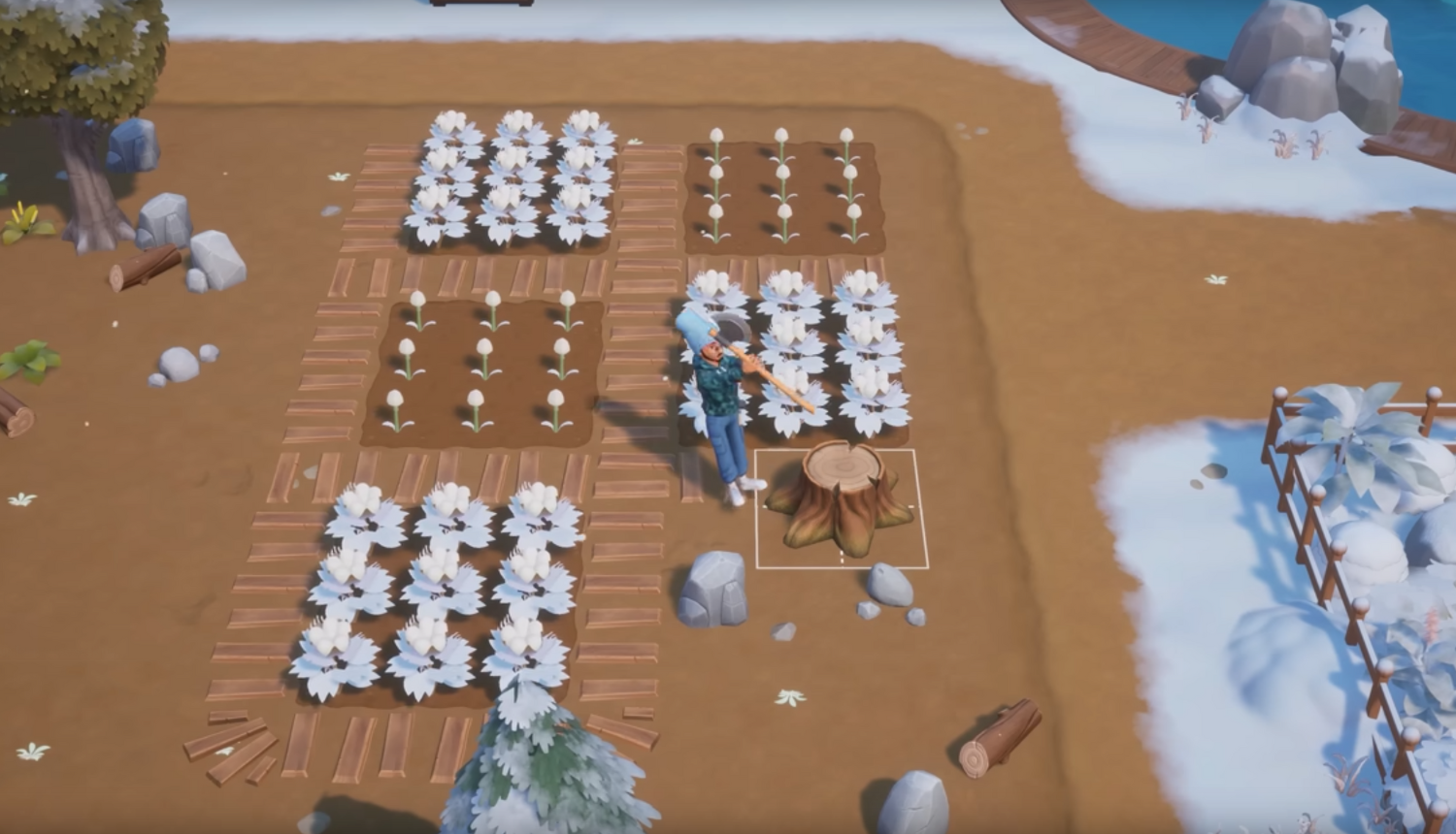 Coral Island - Plugged In