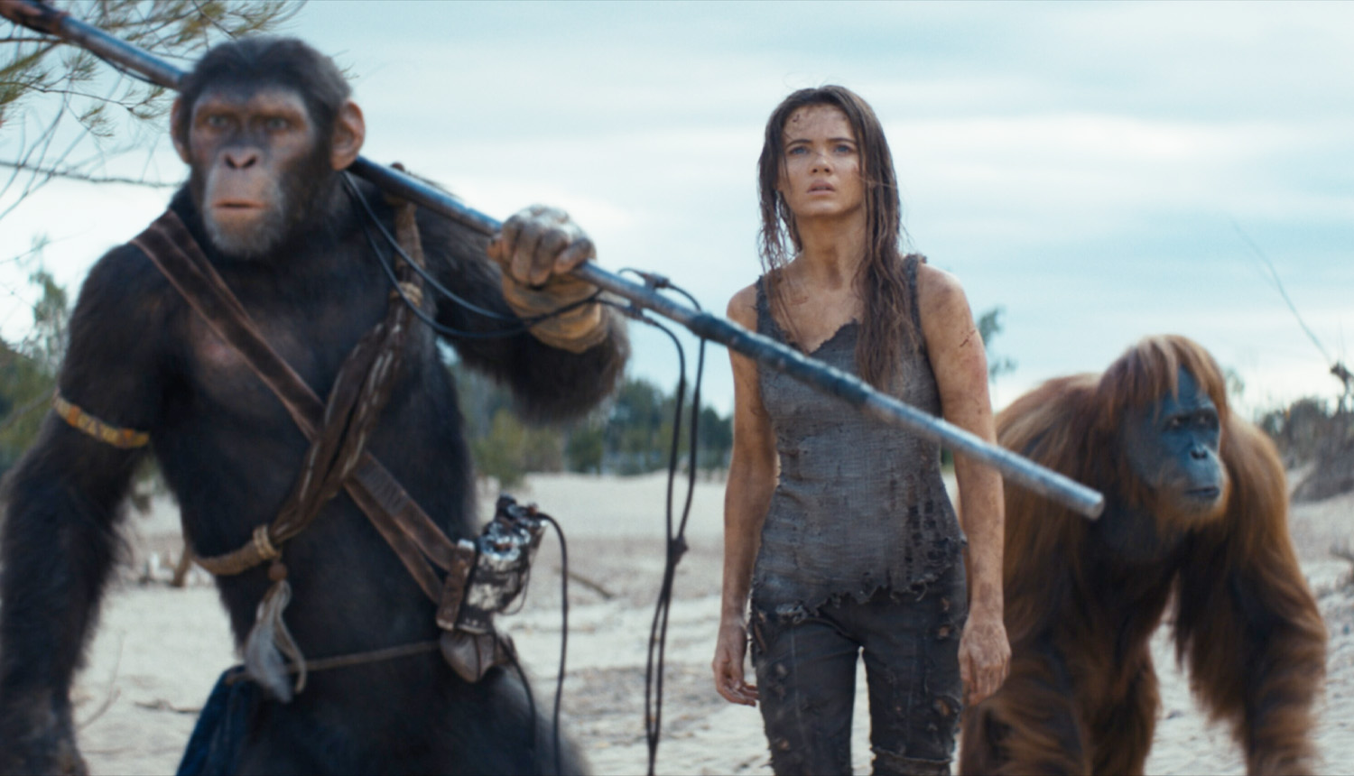 Kingdom of the Planet of the Apes - Plugged In