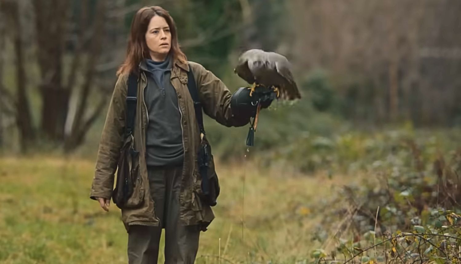 H Is for Hawk - Plugged In
