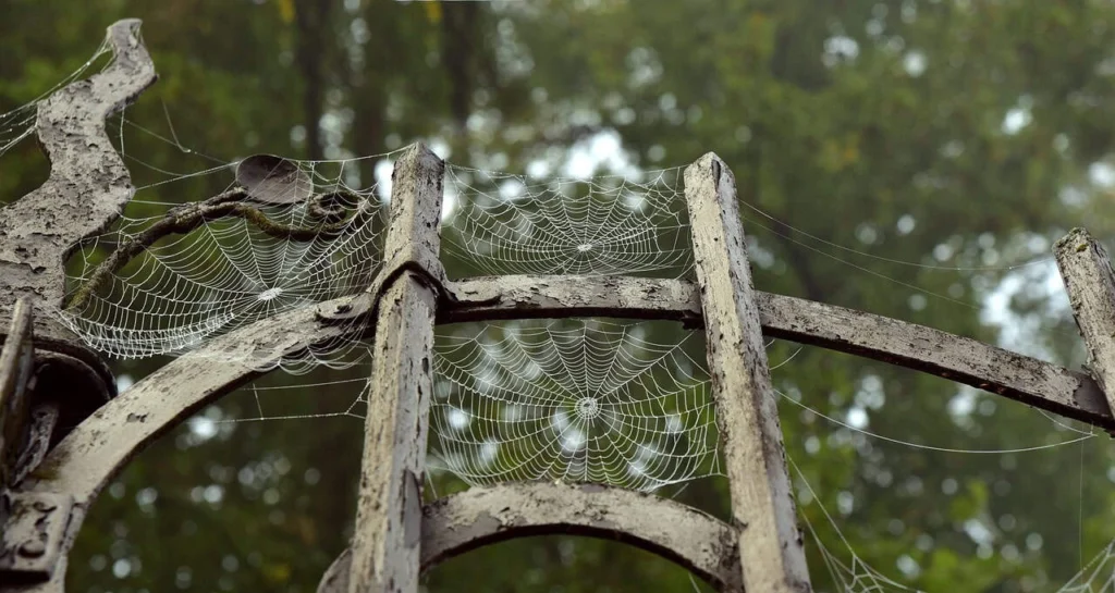 A metal fence filled with cobwebs